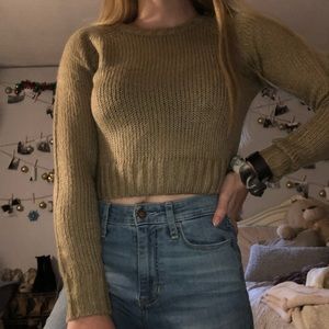 2/$30 NWOT brown cropped sweater